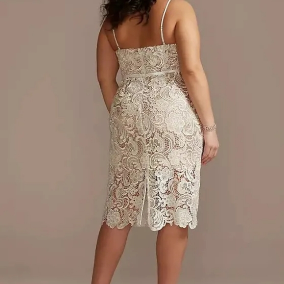 DB Studio Crochet Lace Overlay Midi Dress - Picture 3 of 4